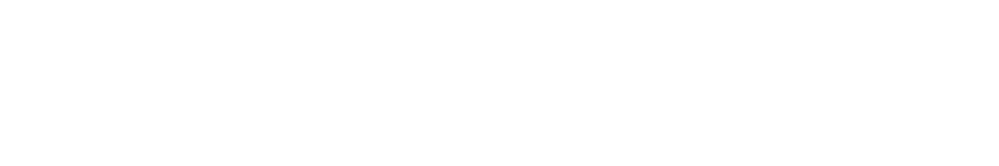 Global View Capital Advisors